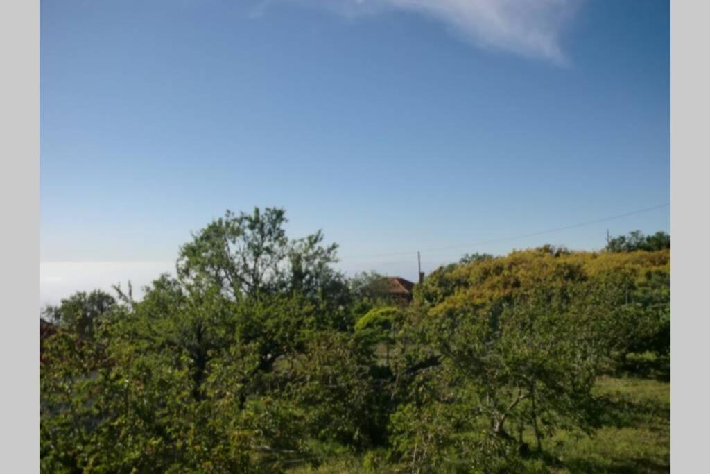 Casas Corea Puntagorda Esterno foto